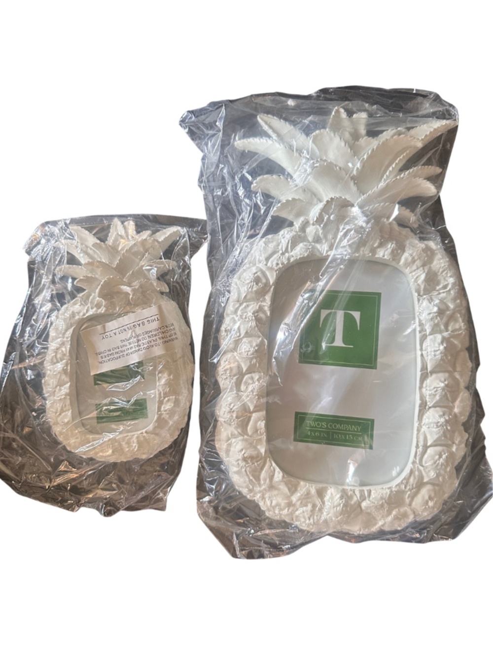 NEW Two's Company White Pineapple Picture Frames - Set of 2